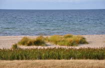 Strand Westermarkelsdorf