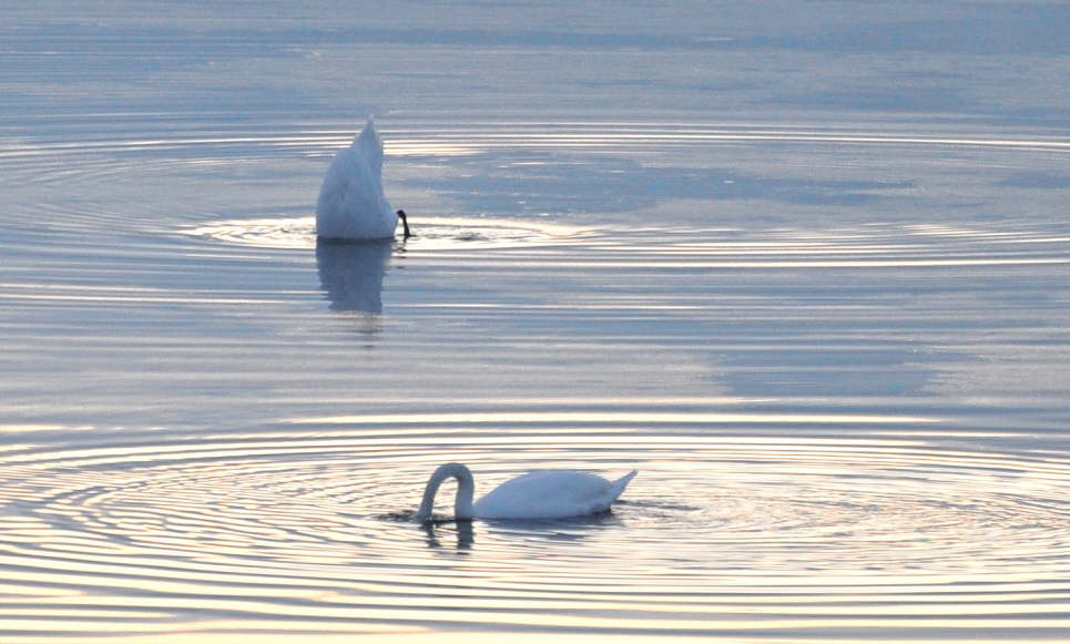 Fehmarn im Winter genie�en