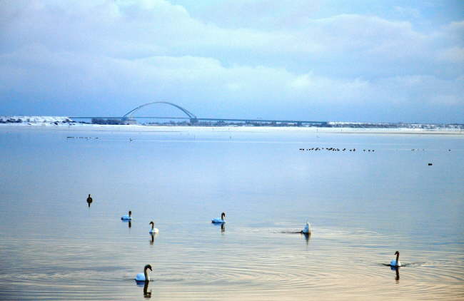 Fehmarn im Winter genie�en